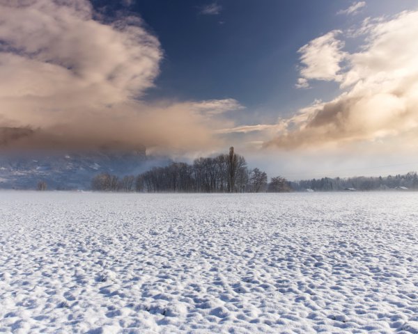 Снежная равнина