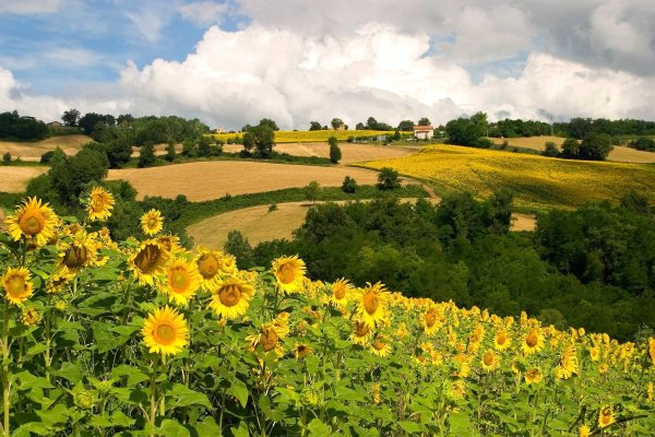 Хата Мазанка живопись