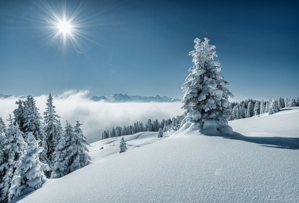 Красивая зима