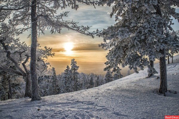 Зимний закат