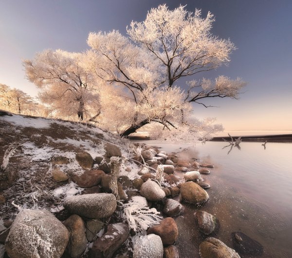 Природа зима