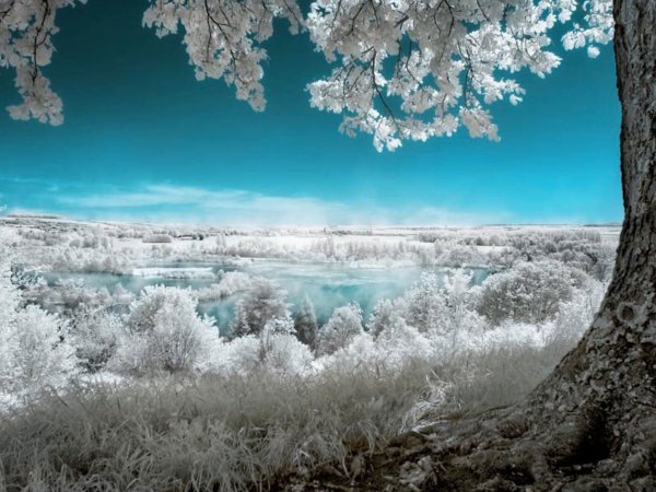 Зимний пейзаж фото профессионала фотографа праздничные