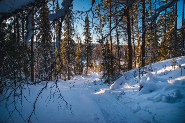 Зимний пейзаж