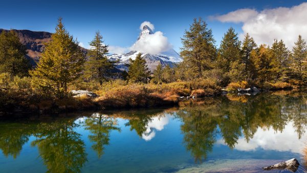 Природа в 4к разрешении