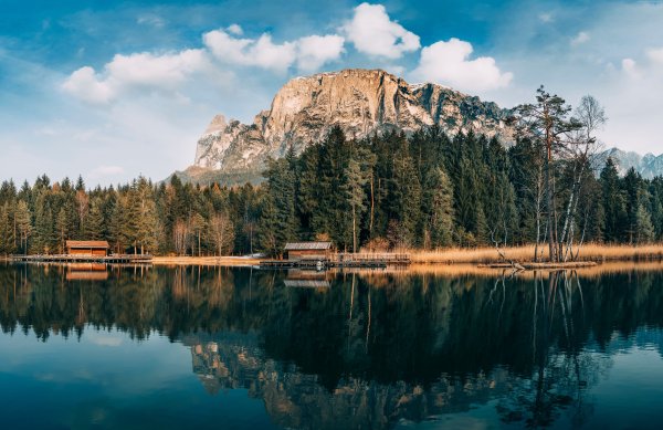 Город Лейк Форест