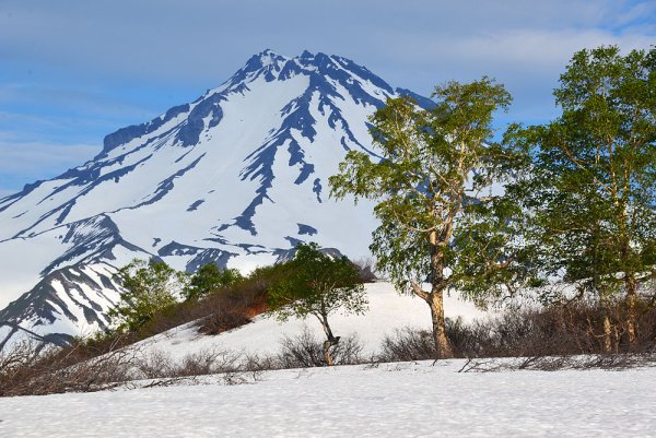 Петропавловск-Камчатский Весна