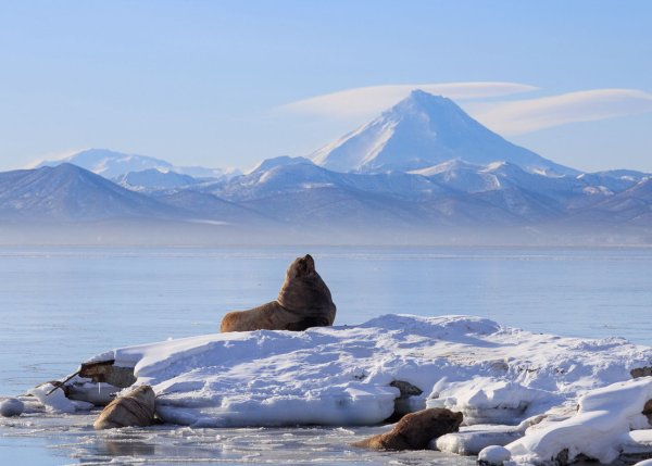 Петропавловск-Камчатский зима
