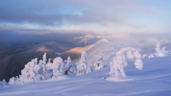 Гора Снежная Камчатка