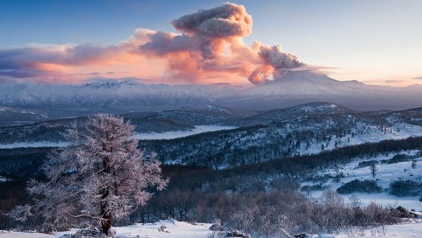 Камчатка природа зимой