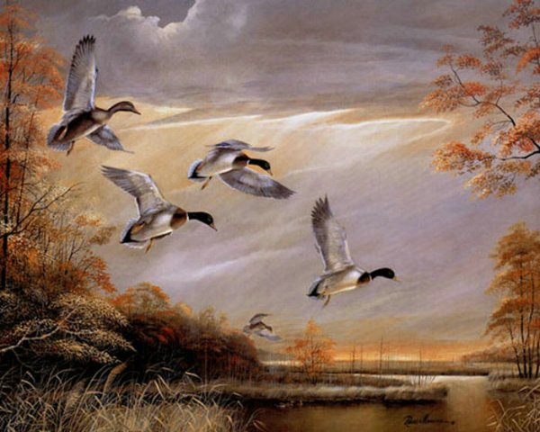 Пейзажи для вышивки с птицами