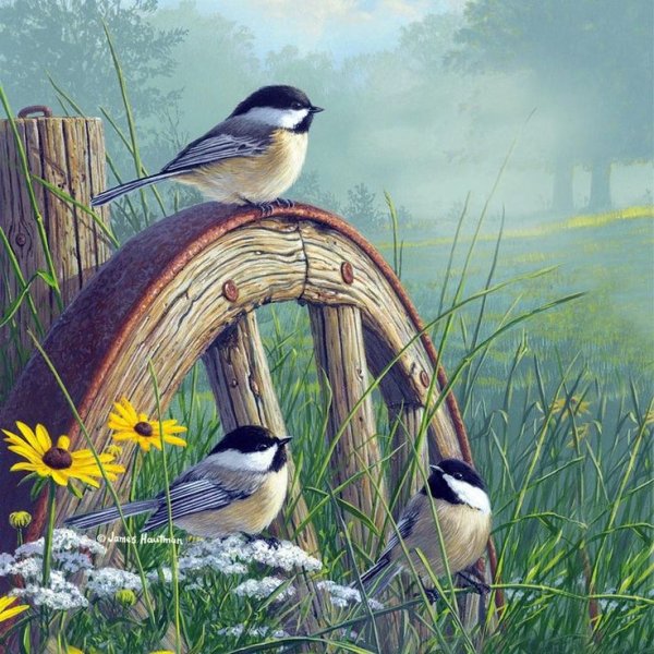 Джеймс Хаутман картины