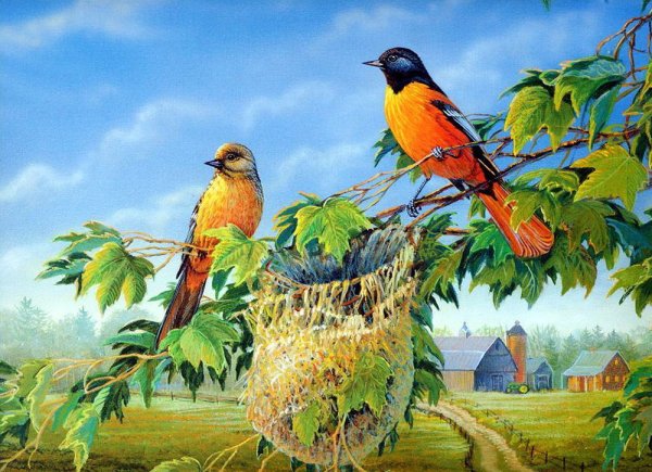 Millette картины