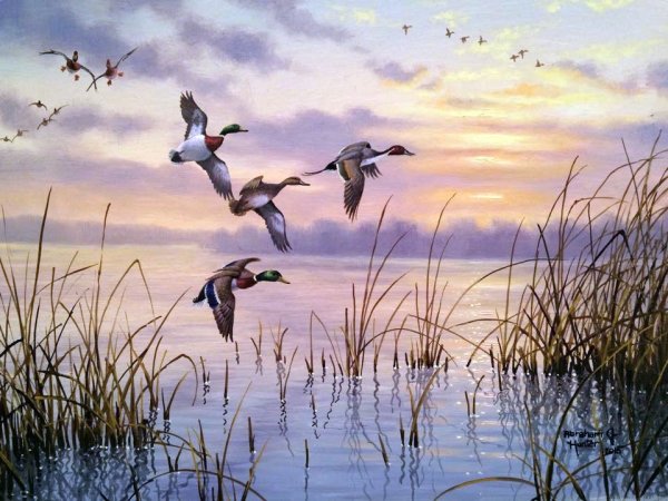 Мир птиц. Художник Abraham Hunter.