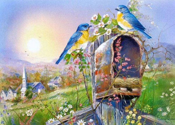 Даррелл Буш картины птицы почтовый ящик