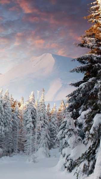 Зима Эстетика