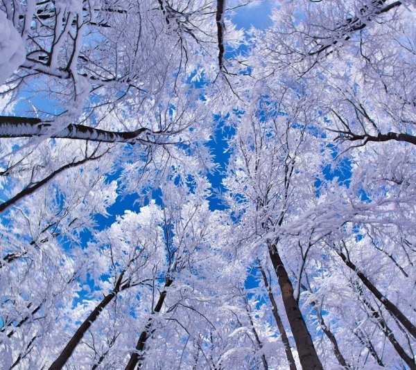 Фотограф зимой