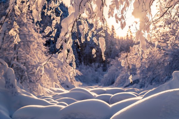 Зима снегопад