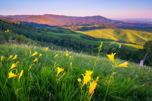 Алтайские Луга Белокуриха
