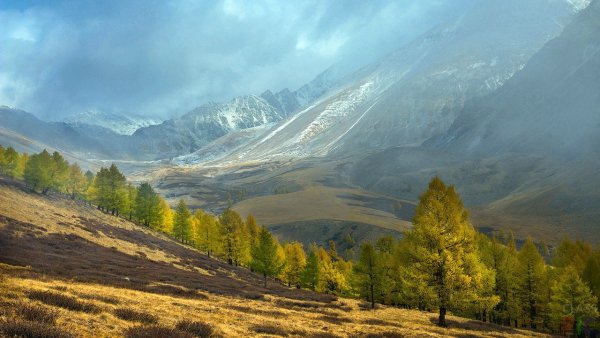 Курайский хребет горный Алтай