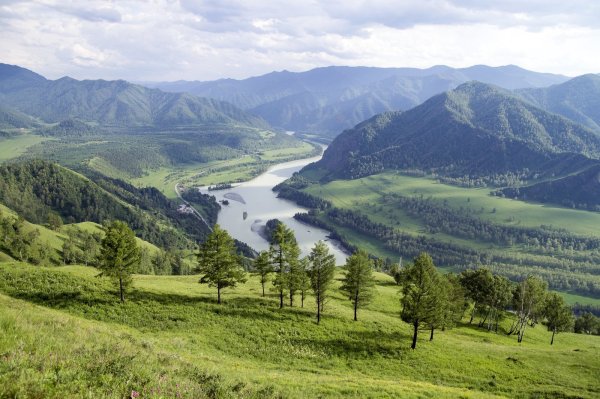 Алтай Чемал