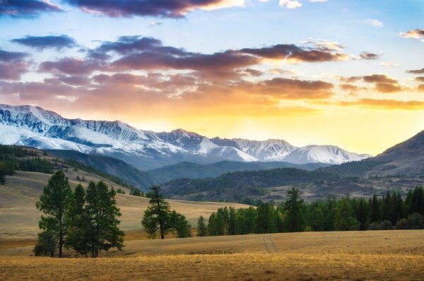 Горы Алтайского края