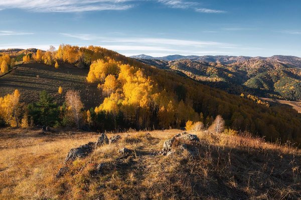 Ландшафт Алтайского края