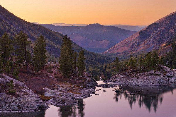 Горный Алтай Тайга Эстетика