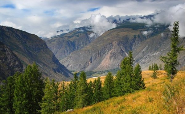 Медвежья гора Алтай