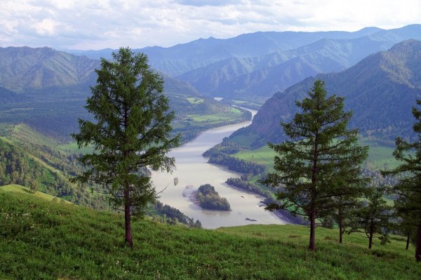 Зеленые холмы Чемал