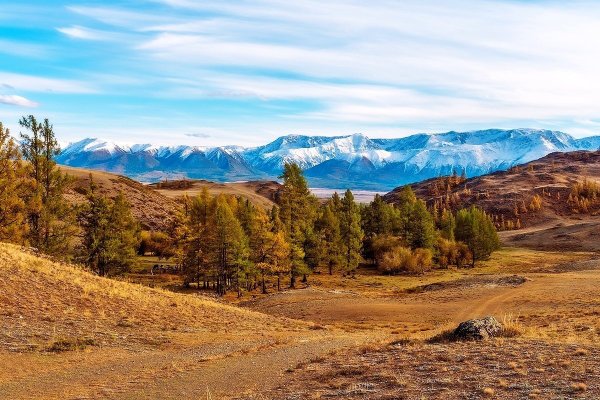 Пейзаж Алтайского края горный Алтай