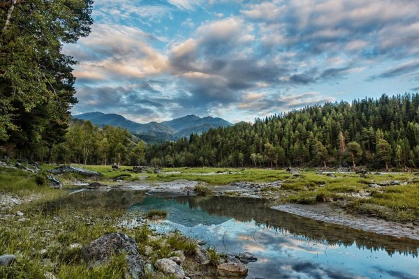 Горно Алтайск пейзажи