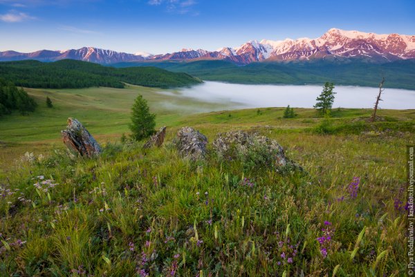 Алтай (Алтайский край, Республика Алтай)