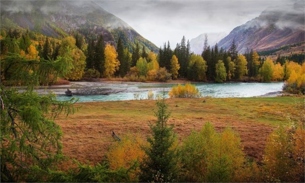 Природа горного Алтая