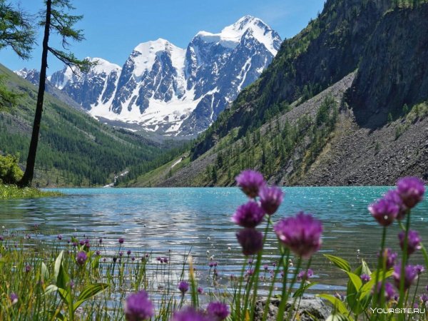 Шавлинское озеро горный Алтай