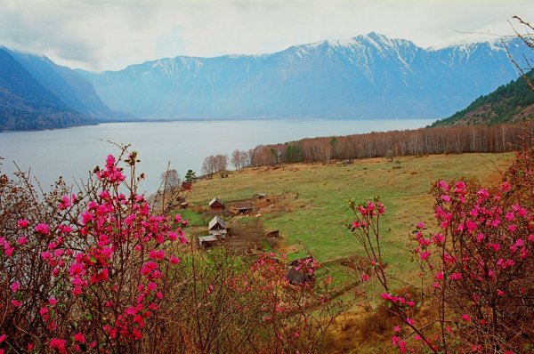 Горный Алтай фототуризм пейзаж