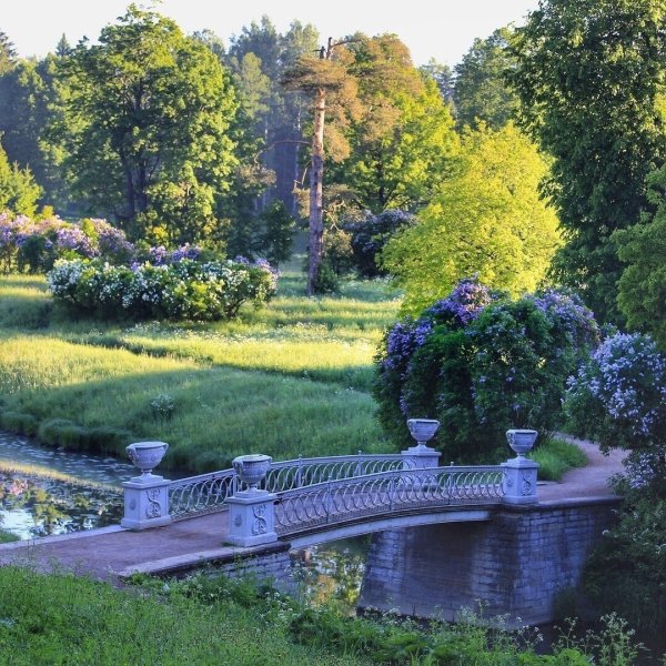 Павловск (Санкт-Петербург) Павловский парк