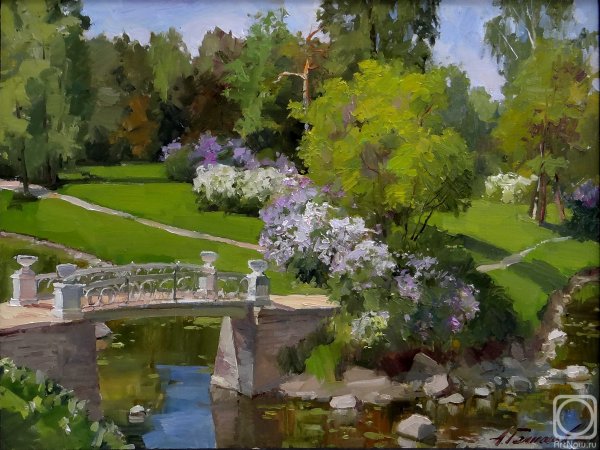 Азат Галимов сирень Петербург