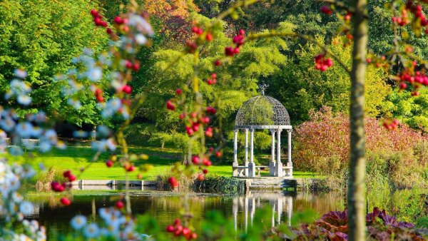 Беседка Райский сад