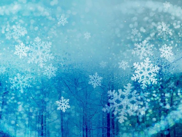 Снежинки в лесу