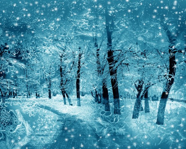 Сказочный зимний лес