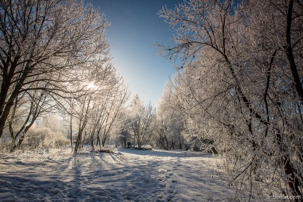 Белорусская зима