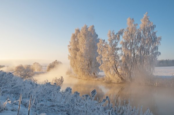 Белоруссия Полесье туман