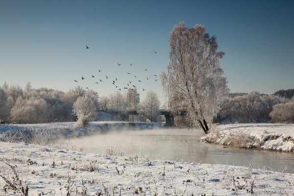 Зимний пейзаж Беларусь