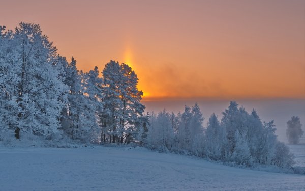 Рассвет зимой на природе