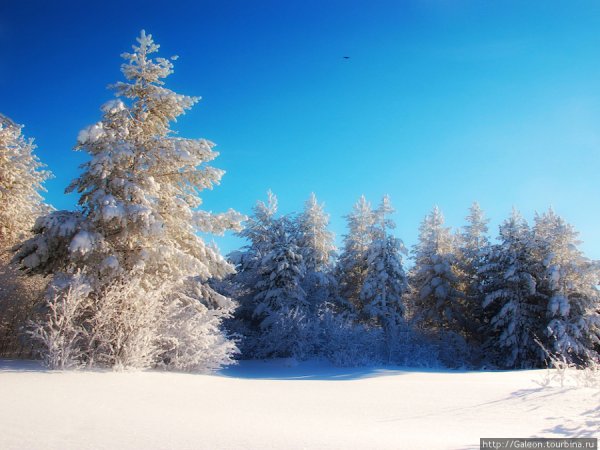 Бурятия зима