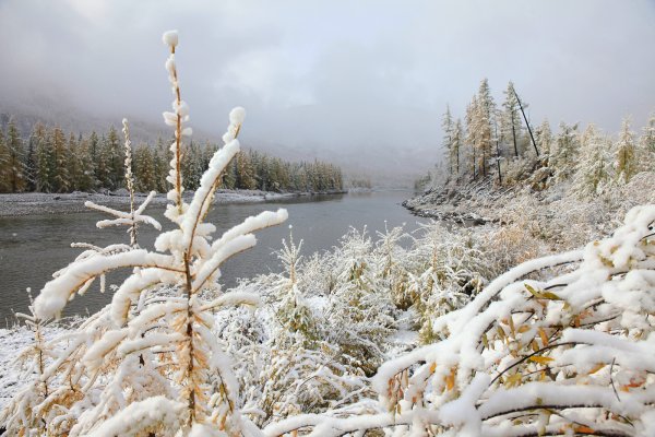 Саянская природа зимой