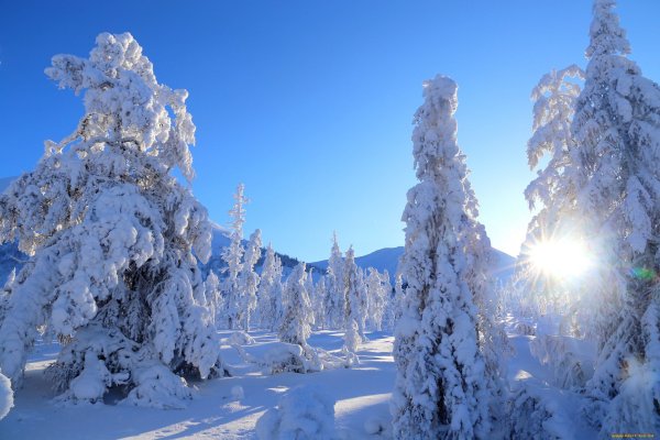 Перевал Пыхта Улан Удэ