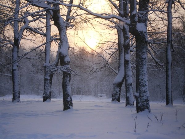 Ромадин Николай художник зимнее