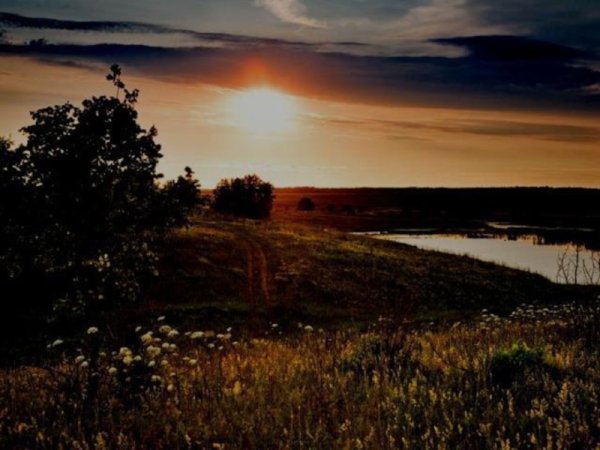 Пейзаж Бежин луг Тургенева