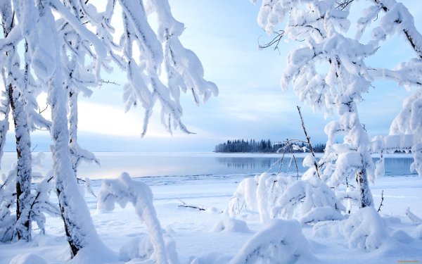 Зимняя природа